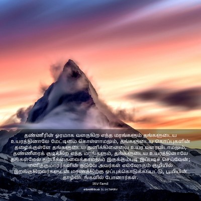 Picture 03 - எசேக்கியேல் 31:14 TAMIRV - தண்ணீரின் ஓரமாக - Bible Verse Picture