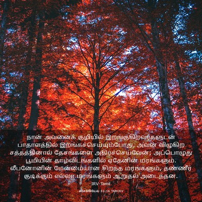 Picture 03 - எசேக்கியேல் 31:16 TAMIRV - நான் அவனைக் - Bible Verse Picture