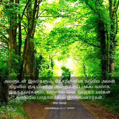 Picture 03 - எசேக்கியேல் 31:17 TAMIRV - அவனுடன் - Bible Verse Picture