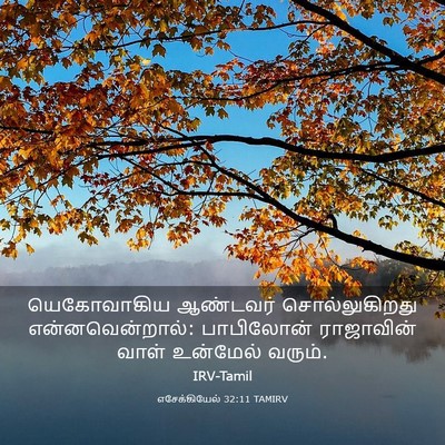 Picture 03 - எசேக்கியேல் 32:11 TAMIRV - யெகோவாகிய ஆண்டவர் - Bible Verse Picture