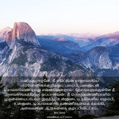 Picture 03 - எசேக்கியேல் 32:2 TAMIRV - மனிதகுமாரனே, நீ - Bible Verse Picture