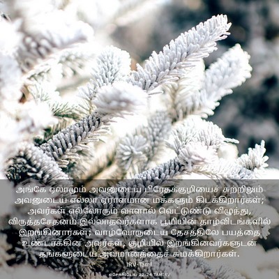 Picture 03 - எசேக்கியேல் 32:24 TAMIRV - அங்கே ஏலாமும் - Bible Verse Picture