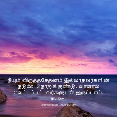Picture 03 - எசேக்கியேல் 32:28 TAMIRV - நீயும் - Bible Verse Picture