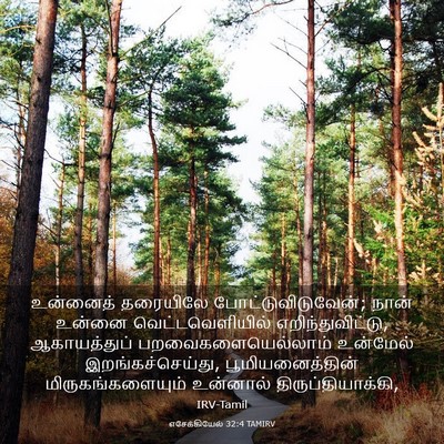 Picture 03 - எசேக்கியேல் 32:4 TAMIRV - உன்னைத் தரையிலே - Bible Verse Picture