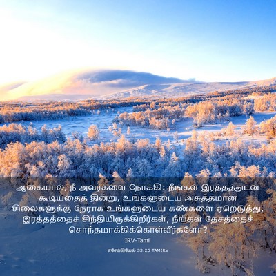 Picture 03 - எசேக்கியேல் 33:25 TAMIRV - ஆகையால், நீ - Bible Verse Picture