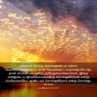 Picture 03 - எசேக்கியேல் 33:29 TAMIRV - அவர்கள் செய்த - Bible Verse Picture