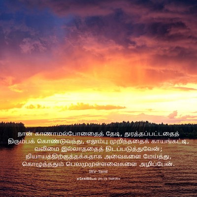 Picture 03 - எசேக்கியேல் 34:16 TAMIRV - நான் - Bible Verse Picture