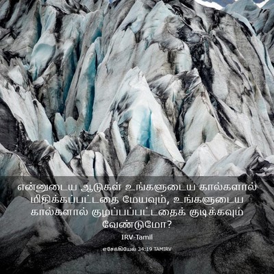 Picture 03 - எசேக்கியேல் 34:19 TAMIRV - என்னுடைய ஆடுகள் - Bible Verse Picture