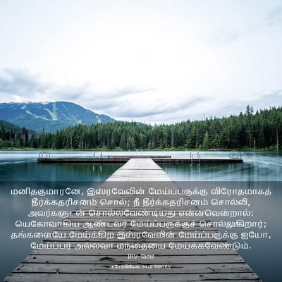 Picture 03 - எசேக்கியேல் 34:2 TAMIRV - மனிதகுமாரனே, - Bible Verse Picture