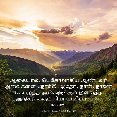 Picture 03 - எசேக்கியேல் 34:20 TAMIRV - ஆகையால், - Bible Verse Picture