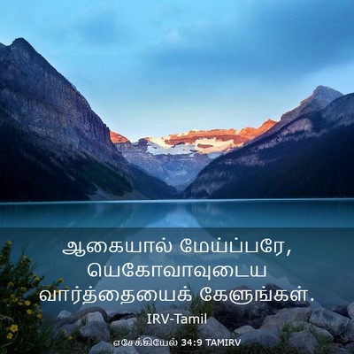 Picture 03 - எசேக்கியேல் 34:9 TAMIRV - ஆகையால் - Bible Verse Picture