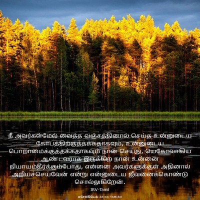 Picture 03 - எசேக்கியேல் 35:11 TAMIRV - நீ அவர்கள்மேல் - Bible Verse Picture
