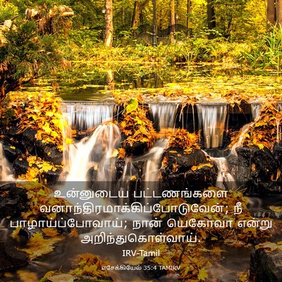 Picture 03 - எசேக்கியேல் 35:4 TAMIRV - உன்னுடைய - Bible Verse Picture
