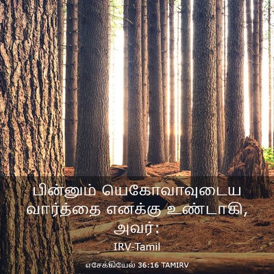Picture 03 - எசேக்கியேல் 36:16 TAMIRV - பின்னும் - Bible Verse Picture