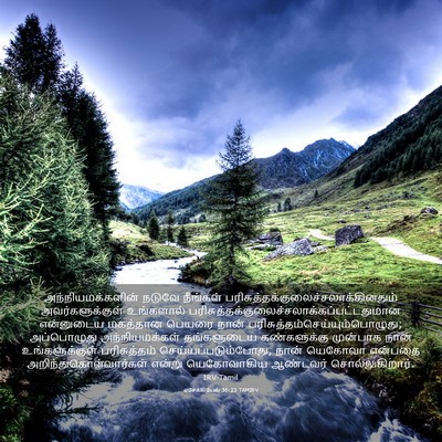 Picture 03 - எசேக்கியேல் 36:23 TAMIRV - அந்நியமக்களின் - Bible Verse Picture