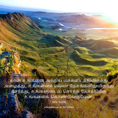 Picture 03 - எசேக்கியேல் 36:24 TAMIRV - நான் உங்களை - Bible Verse Picture