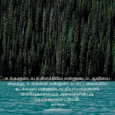 Picture 03 - எசேக்கியேல் 36:27 TAMIRV - உங்களுடைய - Bible Verse Picture