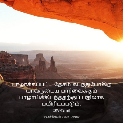 Picture 03 - எசேக்கியேல் 36:34 TAMIRV - பாழாக்கப்பட்ட - Bible Verse Picture
