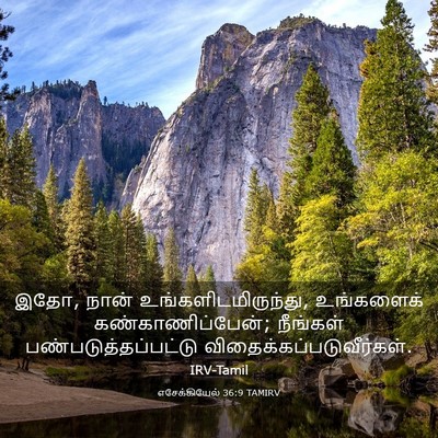 Picture 03 - எசேக்கியேல் 36:9 TAMIRV - இதோ, நான் - Bible Verse Picture