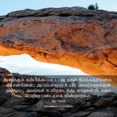 Picture 03 - எசேக்கியேல் 37:10 TAMIRV - எனக்குக் - Bible Verse Picture