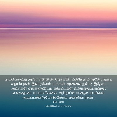 Picture 03 - எசேக்கியேல் 37:11 TAMIRV - அப்பொழுது அவர் - Bible Verse Picture
