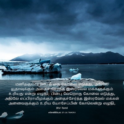 Picture 03 - எசேக்கியேல் 37:16 TAMIRV - மனிதகுமாரனே, நீ - Bible Verse Picture