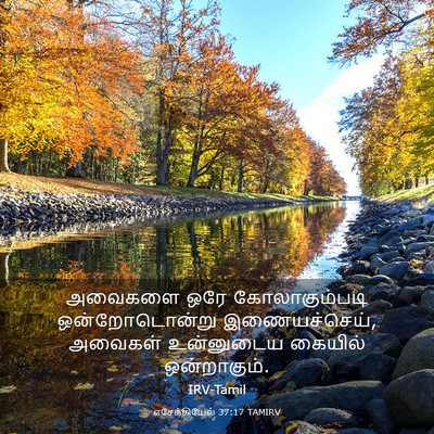Picture 03 - எசேக்கியேல் 37:17 TAMIRV - அவைகளை ஒரே - Bible Verse Picture