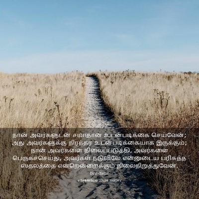 Picture 03 - எசேக்கியேல் 37:26 TAMIRV - நான் அவர்களுடன் - Bible Verse Picture