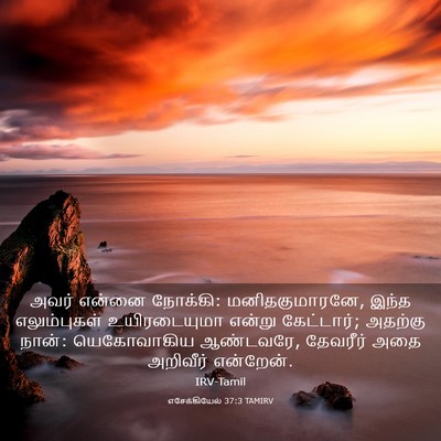 Picture 03 - எசேக்கியேல் 37:3 TAMIRV - அவர் என்னை நோக்கி: - Bible Verse Picture