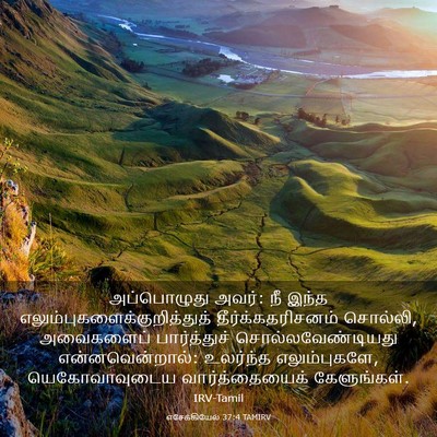 Picture 03 - எசேக்கியேல் 37:4 TAMIRV - அப்பொழுது அவர்: நீ - Bible Verse Picture