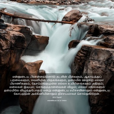 Picture 03 - எசேக்கியேல் 38:20 TAMIRV - என்னுடைய - Bible Verse Picture