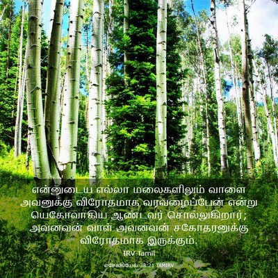 Picture 03 - எசேக்கியேல் 38:21 TAMIRV - என்னுடைய எல்லா - Bible Verse Picture