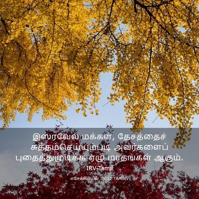 Picture 03 - எசேக்கியேல் 39:12 TAMIRV - இஸ்ரவேல் மக்கள், - Bible Verse Picture