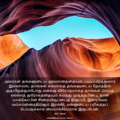 Picture 03 - எசேக்கியேல் 39:26 TAMIRV - அவர்கள் தங்களுடைய - Bible Verse Picture