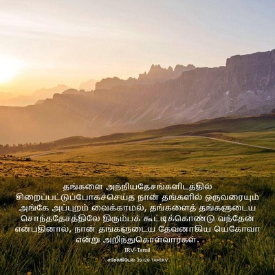 Picture 03 - எசேக்கியேல் 39:28 TAMIRV - தங்களை - Bible Verse Picture