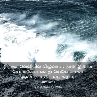 Picture 03 - எசேக்கியேல் 39:5 TAMIRV - திறந்த வெளியில் - Bible Verse Picture