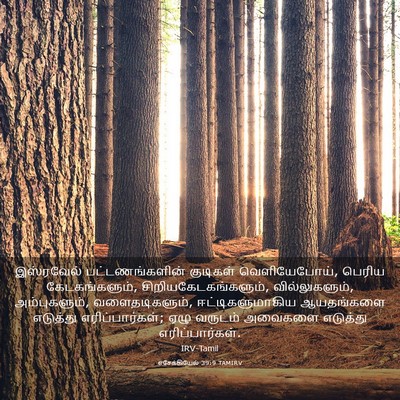 Picture 03 - எசேக்கியேல் 39:9 TAMIRV - இஸ்ரவேல் - Bible Verse Picture