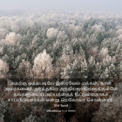 Picture 03 - எசேக்கியேல் 4:13 TAMIRV - அதற்கு ஒத்தபடியே - Bible Verse Picture