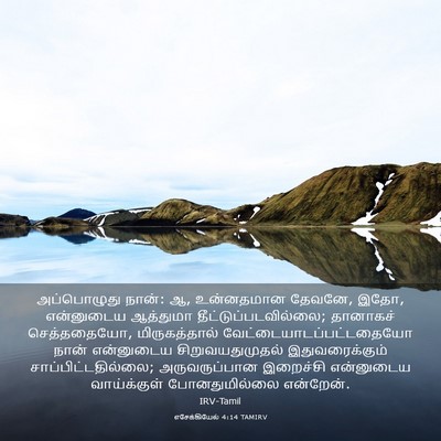 Picture 03 - எசேக்கியேல் 4:14 TAMIRV - அப்பொழுது நான்: ஆ, - Bible Verse Picture