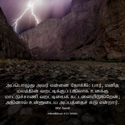 Picture 03 - எசேக்கியேல் 4:15 TAMIRV - அப்பொழுது அவர் - Bible Verse Picture