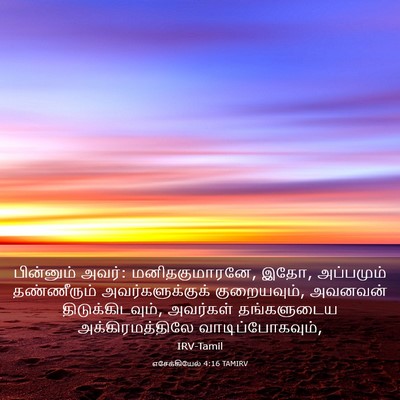 Picture 03 - எசேக்கியேல் 4:16 TAMIRV - பின்னும் அவர்: - Bible Verse Picture