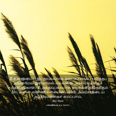 Picture 03 - எசேக்கியேல் 4:4 TAMIRV - நீ உன்னுடைய - Bible Verse Picture