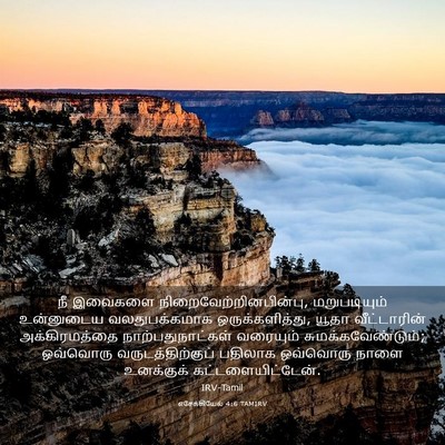 Picture 03 - எசேக்கியேல் 4:6 TAMIRV - நீ இவைகளை - Bible Verse Picture