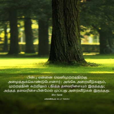 Picture 03 - எசேக்கியேல் 40:17 TAMIRV - பின்பு என்னை - Bible Verse Picture