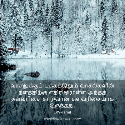 Picture 03 - எசேக்கியேல் 40:18 TAMIRV - வாசலுக்குப் - Bible Verse Picture