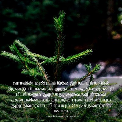 Picture 03 - எசேக்கியேல் 40:39 TAMIRV - வாசலின் - Bible Verse Picture