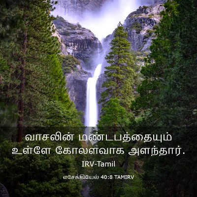 Picture 03 - எசேக்கியேல் 40:8 TAMIRV - வாசலின் - Bible Verse Picture