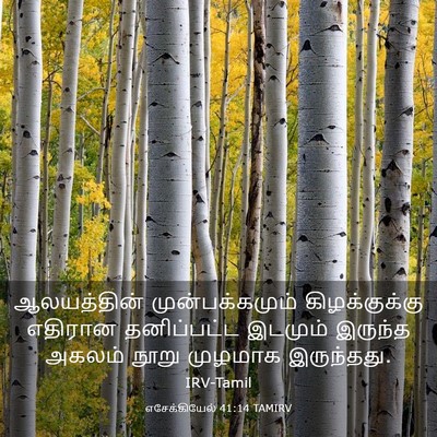 Picture 03 - எசேக்கியேல் 41:14 TAMIRV - ஆலயத்தின் - Bible Verse Picture