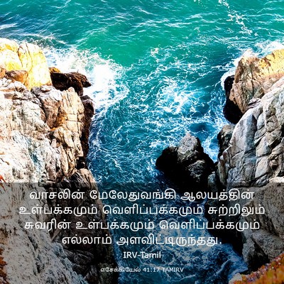 Picture 03 - எசேக்கியேல் 41:17 TAMIRV - வாசலின் - Bible Verse Picture