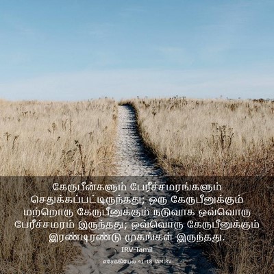 Picture 03 - எசேக்கியேல் 41:18 TAMIRV - கேருபீன்களும் - Bible Verse Picture